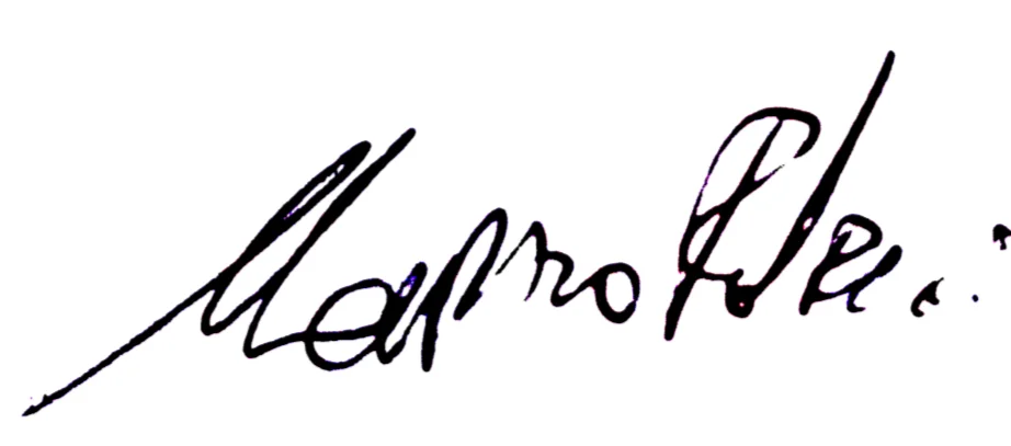 Firma Maurizio Federici